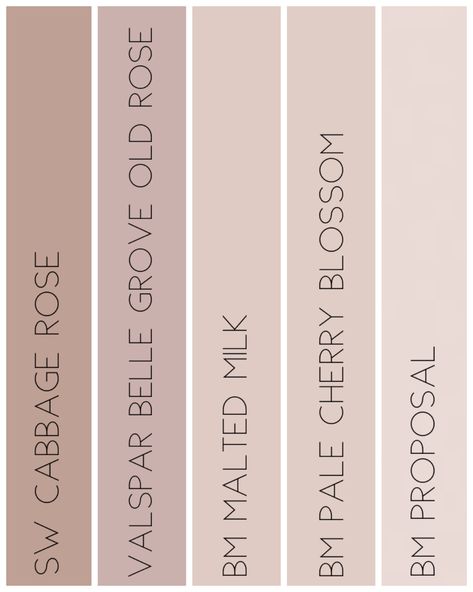 Pink Taupe Paint Colors, Pink Brown Paint Color, Pretty Wall Colors, Neutral Blush Paint Colors, Blush Beige Paint, Behr Malted Milk, Pale Cherry Blossom Benjamin Moore, Whisp Of Mauve Benjamin Moore, Light Pink Beige Color Palette