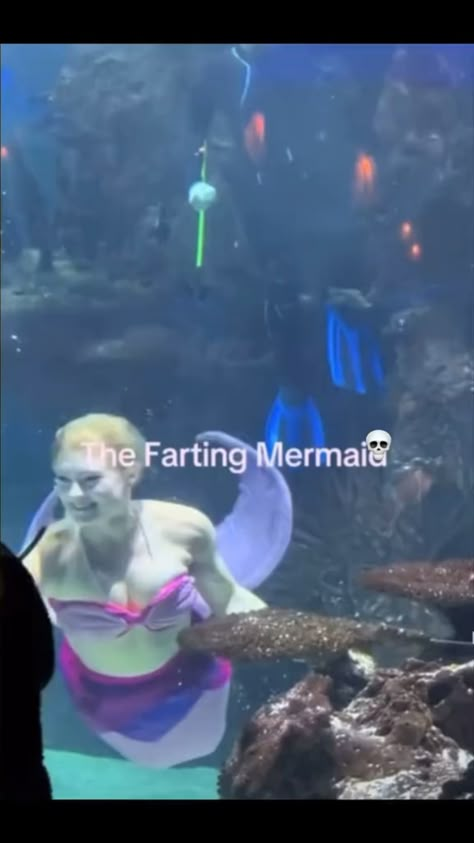 #littlemermaid#mermaid#funnyvideos Mermaid Memes Funny Hilarious, Megamind Funny Videos, The Farting Mermaid, Funny Videos To Watch At 3 Am, Things To Do When Bored Videos, She Was A Fairy Funny, Try Not To Laugh Pictures, Random Funny Pictures Hilarious Laughing, Funny Funny Videos