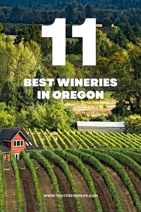 Oregon Vineyards, Pnw Aesthetic, Oregon Wineries, Northwest Landscaping, Oregon Wine Country, Corvallis Oregon, Explore Oregon, Oregon Road Trip, Winery Tours