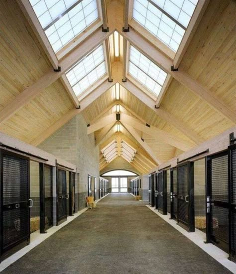 high ceilings and natural light Horse Barn Ideas Stables, Barn Stalls, Horse Barn Designs, Dream Stables, Dream Horse Barns, Horse Barn Plans, Horse Facility, Stables Design, Barn Plans