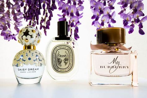 Three Of The Best Wisteria Scents - Beauticate Who Do You Love, Old Boots, Shades Of Violet, Beauty Samples, Natural Brows, Sweet Smell, Soft Purple, Beautiful Textures, False Lashes