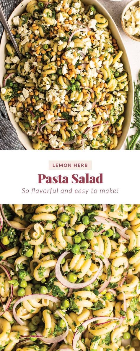 This fresh garlic lemon pasta salad is made with tons of herbs, a delicious lemon garlic dressing, and loads of veggies. Lemon Garlic Pasta Salad, Lemon Veggie Pasta, Pasta Salad Lemon Dressing, Lemon Herb Pasta Salad, Light Summer Pasta Salad, Lemon Pasta Salad Recipes, Spring Pasta Salad Recipes, Pasta Salad Feta, Pasta Salad Lemon