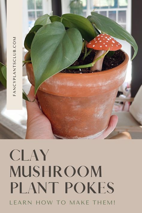 plant with decorative air dry clay mushroom Air Dry Clay Mushrooms, Clay Mushrooms Diy, Clay Mushroom, Crayola Air Dry Clay, Polymer Clay Mushroom, Mushroom Plant, Dried Mushrooms, Diy Air Dry Clay, Diy Ceramic