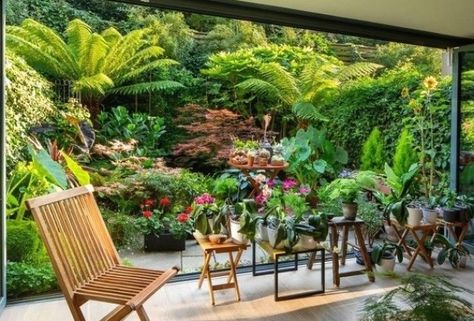 40 Magical Plant Garden Ideas for Every Outdoor Space - These garden design ideas are essential to a system you'll love for years to com... #gardenideas #smallcity City Patio, Patio Planting, Jungle Retreat, Small Tropical Gardens, Architectural Plants, Tropical Garden Design, Small Courtyard Gardens, Jungle Gardens, London Garden