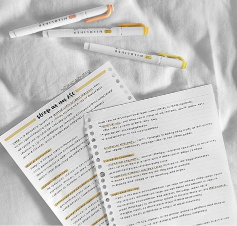 Aesthetic Notes Inspo Simple, Simple Aesthetic Notes, Aesthetic School Notes, Studyblr Notes, Notes Inspo, Good Study Habits, Handwriting Examples, Best Study Tips, Aesthetic Notes