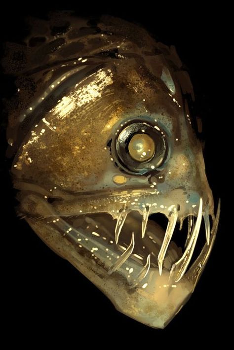 Creepy Fish, Deep Sea Life, Weird Sea Creatures, Deep Sea Fish, Fish Eyes, Strange Animals, Moray Eel, Fauna Marina, Deep Sea Creatures