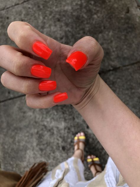 Electric Orange Square Shape #velociraptor Electric Orange Nails, Electric Orange, Orange Square, Orange Nails, Square Shape, Nail Ideas, Cute Nails, Convenience Store Products, Electricity