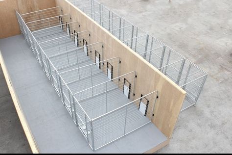 (paid link) Dog kennel designs - Pets for sale. Inside Dog Kennel Ideas House, Barndominium With Dog Kennels, Indoor Outdoor Kennel Ideas, Dog Rescue Facility Kennel Ideas, Boarding Kennels Design, Barndominium Dog Kennel, Shipping Container Dog Kennel, Basement Dog Kennel Ideas, Dog Kennels Diy Outdoor