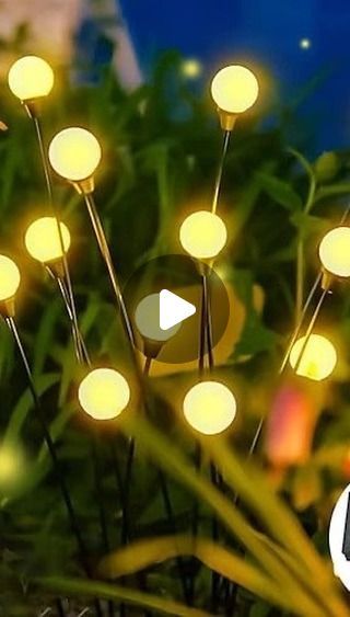 Architect land | Architecture Products | Dubai on Instagram: "✨Let your garden come to life with the magical golws of firefly solar light✨
.
Perfect for any outdoor space (exterior decor, summer night)
.
Warm light | colorful | Windproof | Rainproof |Snowproof | Sunscreen |  7 Colors | Free shipping 
.
Order now ➡️ Link in *products highlighte*
 .
For more info➡️ website:
https://architect-land.com/product/led-solar-garden-lights/
.
For more info➡️ Email: architectland8@gmail.com

@architect_landd 
@architectland_store 

#solarlights #garden #gardendesign #architecture #solarenergy #architecture #gardendesign #summervibes #outdoors #outdoordecor #summerlight #architectproduct #architectproductions #tiktok #tiktokmademebuyit #architectland" Land Architecture, Garden Light, Garden Lights, Solar Garden, Solar Lights Garden, Exterior Decor, Light Summer, Summer Night, Color Free