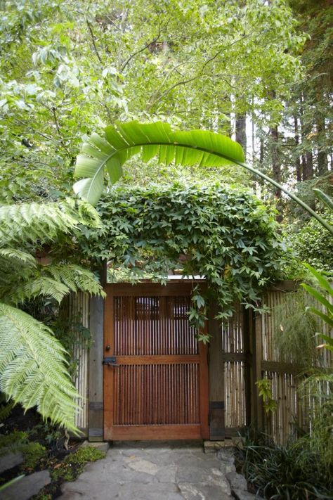 "A gate in Mill Valley, California. On the other side? Paradise." It certainly seems so. via Gardenista Tor Design, Wooden Garden Gate, Balinese Garden, Wooden Gate, Garden Vines, Garden Entrance, Meteor Garden 2018, Garden In The Woods, Garden Doors