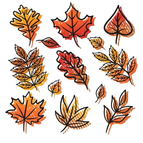 Fall Leaves Drawing, Leaves Drawing, Leaf Drawing, Leaves Pattern, Baby Cartoon, Vector Hand, Fall Leaves, Leaf Pattern, Autumn Leaves