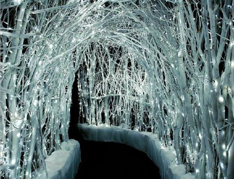 Winter White Lights- perfect for a close-to-christmas-wedding! Winter Wonderland-party, Diy Winter Wedding, Decoration Buffet, Wonderland Party Decorations, Winter Wonderland Decorations, Winter Dance, Winter Wonderland Theme, Dance Ideas, Winter Parties