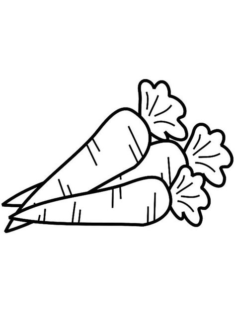 Carrot Drawing, Vegetable Coloring Pages, Animal Line Drawings, Garden Coloring Pages, Food Coloring Pages, Sunflower Drawing, Pumpkin Coloring Pages, Math Work, Outline Drawings