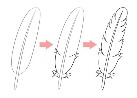 How To Draw Feathers Step By Step, How To Draw Feathers, Feather Outline, Drawing Male Hair, Thanksgiving Drawings, Rose Step By Step, Side View Drawing, Tulip Drawing, Easy Step By Step Drawing