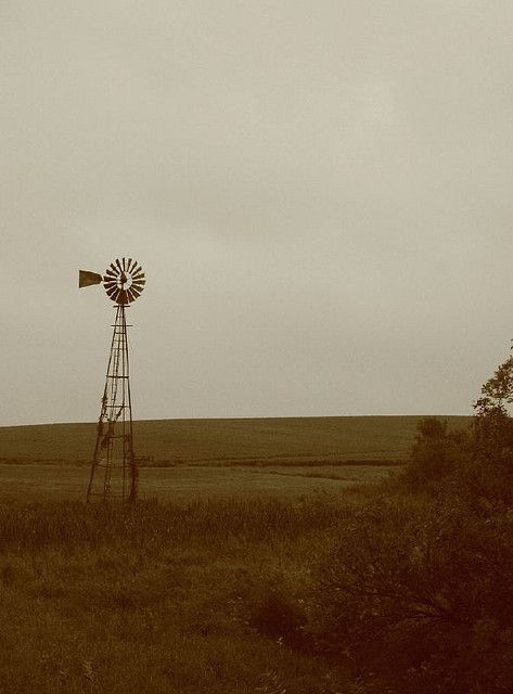 Southern Gothic Aesthetic, Southern Aesthetic, Cowboy Like Me, Connie Springer, Midwest Emo, The Creeper, American Gothic, Southern Gothic, Gothic Aesthetic