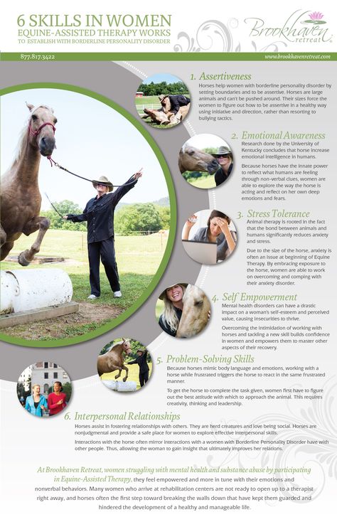 Infograph for Brookhaven Retreat's Equine Assisted Therapy for Women by Minava Design. www.minavadesign.com Equine Therapy Activities, Equine Assisted Therapy, Therapeutic Horseback Riding, Horse Business, Therapeutic Riding, Animal Therapy, Horse Lessons, Equine Therapy, Horse And Human