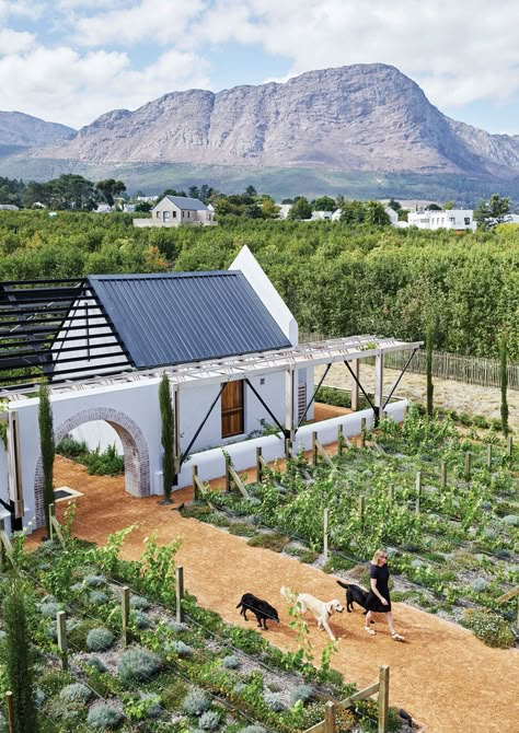 Cape Dutch Architecture, Gin Garden, South African Homes, Regenerative Farming, Dutch Architecture, Cape Dutch, Farm Plans, Farm Design, New Order