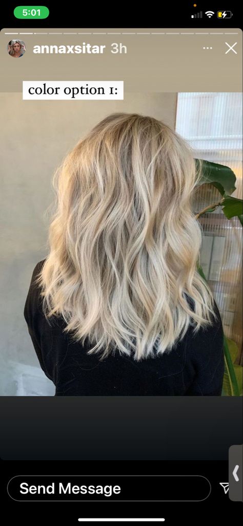 Anna Sitar Hair, Anna Sitar, Inspo Board, Hair Ideas, Hair Inspo, Color Options, Hair Color, Long Hair Styles, Hair Styles