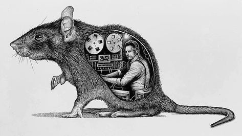 Illustrations of Dissected Animals, Humans and Cartoon Characters Showing Their Unexpected Inner Workings Animals And Humans, Paul Jackson, Year Of The Rat, Knitted Animals, Time Tattoos, Black And White Illustration, Funny Animal Memes, Ink Illustrations, Weird Art