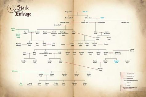 House Stark family tree. Stark Family Tree, The Stark Family, World Of Ice And Fire, Stark Family, Ned Stark, Butterfly Photo, Family Tree Project, George R R Martin, George Rr Martin