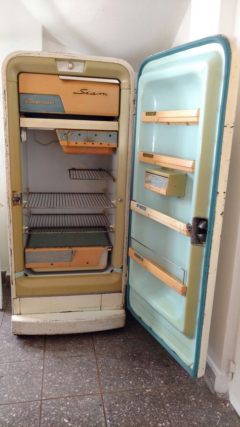 Butcher Room, Retro Homes, Old Refrigerator, Mcm Kitchen, Lotus Flower Pictures, Retro Appliances, Beer Fridge, Colorful Apartment, Vintage Appliances