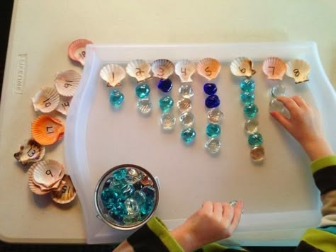 Montessori math with shells Shell Activities, Hooray For Fish, Sharing A Shell, Montessori Math Activities, Snail And The Whale, Ocean Unit, Maths Games, Maths Ideas, Nursery Activities