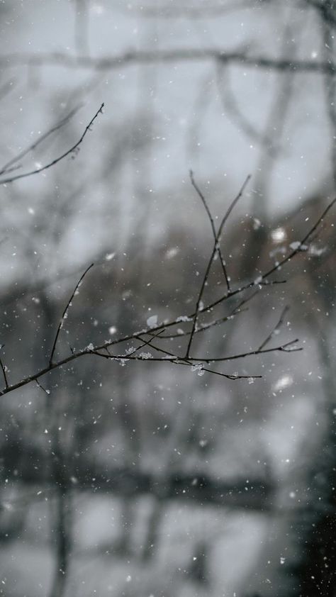 Snowing Aesthetic Wallpaper, Acoustic Guitar Photography, Iphone Wallpaper Winter, Winter Sky, American Gods, Cottage In The Woods, Dark Winter, Winter Wallpaper, Forest Flowers