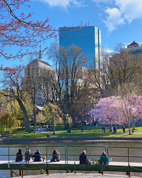 Boston Aesthetic, Boston Public Garden, Beach Sunset Wallpaper, Public Garden, Sunset Wallpaper, Spring Blossom, In Boston, Amazing Architecture, Beach Sunset