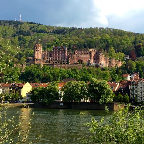 Heidelberg Castle, Germany finding cheap airfare Heidelberg Castle, Rhine River Cruise, Castle Germany, European River Cruises, Heidelberg Germany, Viking Cruises Rivers, Cheap Airfare, Rhine River, River Cruise