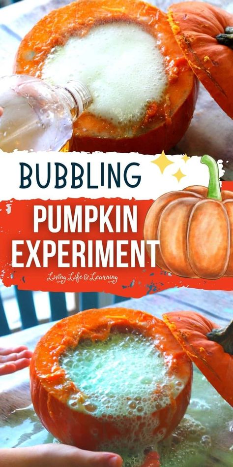 Forget volcanoes, have fun with pumpkins in this bubbling pumpkin experiment that is tons of fun for fall, turn pumpkins into a learning activity. Have fun learning with this cool science experiment that uses pumpkins. Early Years Science, Volcano For Kids, Name Activities Preschool, Fall Science, Cool Science, Preschool Science Activities, Pumpkin Activities, Easy Science Experiments, Autumn Activities For Kids