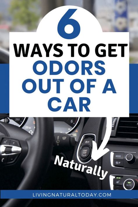 Do you want to remove odors from car interiors naturally? In this post, learn how to get odors out of your car without using toxic chemical cleaners. #removeodorsfromcar | #removeodorfromcarinteriors | #howtogetodorsoutofcar Odor Eliminator Diy, Car Odor Eliminator, Car Upholstery Cleaner, Cleaning Car Upholstery, Car Cleaner Interior, Car Life Hacks, New Car Smell, Inside Car, Car Cleaner