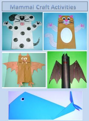 Learning Ideas - Grades K-8: Fun Mammal Craft Activities Mammal Craft, Animal Taxonomy, Mammal Unit Study, Mammals Activities, Carnivorous Animals, Morning School, Animals Activities, Animal Classification, Teacher Craft