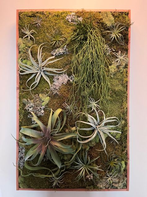 Created with faux airplants, preserved moss and some other little collected goodies … Moss Centerpieces, Airplant Wall, Tropical Landscape Design, Tropical Landscape, Moss Wall Art, Diy Plant Hanger, Moss Art, Preserved Moss, Moss Wall