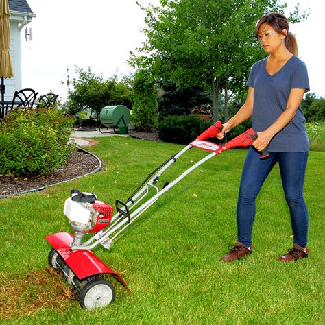 Removing Thatch From Lawns Dethatching Lawn, Pergola Pictures, Victorian Parlor, Aerate Lawn, Diy Lawn, Backyard Inspo, Green Lawn, Pergola Designs, Walk In The Woods