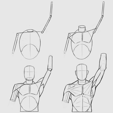 Arm Raised Anatomy, Raised Arm Anatomy, Drawing Shoulders And Arms, Lifted Arm Reference, Arm Raised Pose Drawing, Pec Anatomy, Raised Arm Drawing Reference, Arms Raised Above Head Pose Reference, Arm Over Head Pose