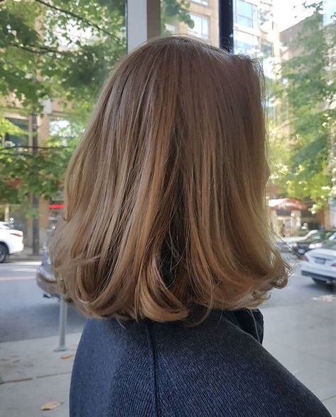 Brunette Lowlights Short Hair, Shorter In The Front Haircut, Chin Length Hair Highlights, Lob With Long Layers Straight, Dark Blonde Lob Straight, Fall Classic Style, Short Hair Fall Outfits, Soft Brown Hair Short, Soft Lob Haircut