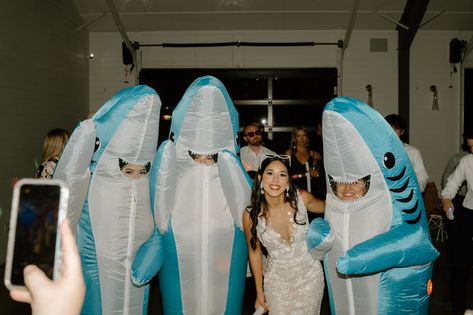 Bad Bunny Wedding, Shark Theme Wedding, Hillcountry Texas, Shark Wedding, Shark Things, Music Lover Tattoo, Cliff Wedding, Best Friend Bucket List, Wedding Doves