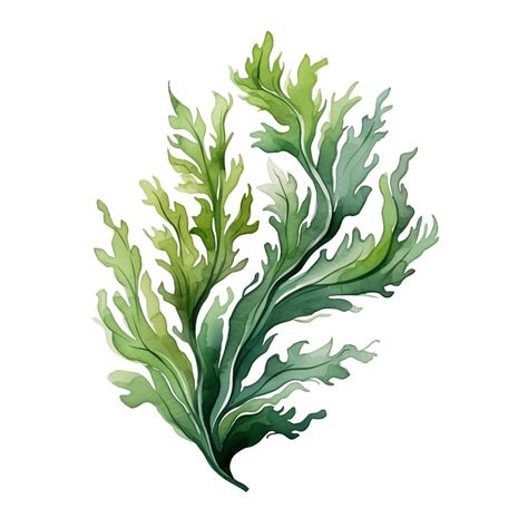 Kelp Drawing, Flora Marina, Collage Project, Ocean Life, Svg Files, Pinterest Likes, Illustrations, Collage, Drawings