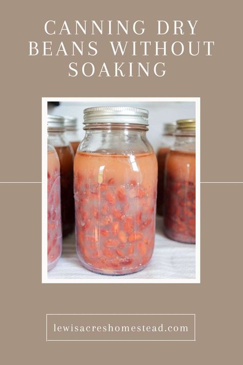 Canning Dried Beans Pressure Cooking, Canning Dry Beans, Steam Canning, Pressure Cooker Beans, Canning Beans, Pressure Canning Recipes, How To Soak Beans, Canning Food, Canning Food Preservation