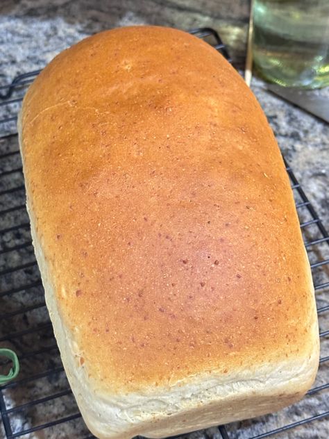 Parmesan & Rosemary Loaf bread machine Rosemary Bread Machine Recipe, Parmesan Bread, Rosemary Bread, Garlic Infused Olive Oil, Bread Maker Recipes, Garlic Olive Oil, Garlic Oil, Bread Machine Recipes, Bread Maker