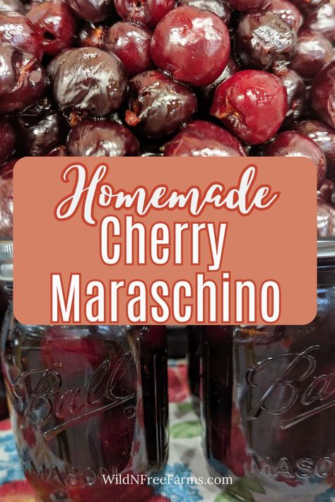 cherries maraschino Cherry Maraschino, Berries And Chocolate, Cherry Bounce, Cook From Scratch, Food From Scratch, Canning Tips, Maraschino Cherries, Food On The Table, Red 40