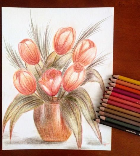 Faber Castell Art, Pencil Drawings Of Nature, Oil Pastel Drawings Easy, Pop Art Animals, Flower Drawing Tutorials, Tulips Art, Pencil Shading, Oil Pastel Drawings, Small Drawings