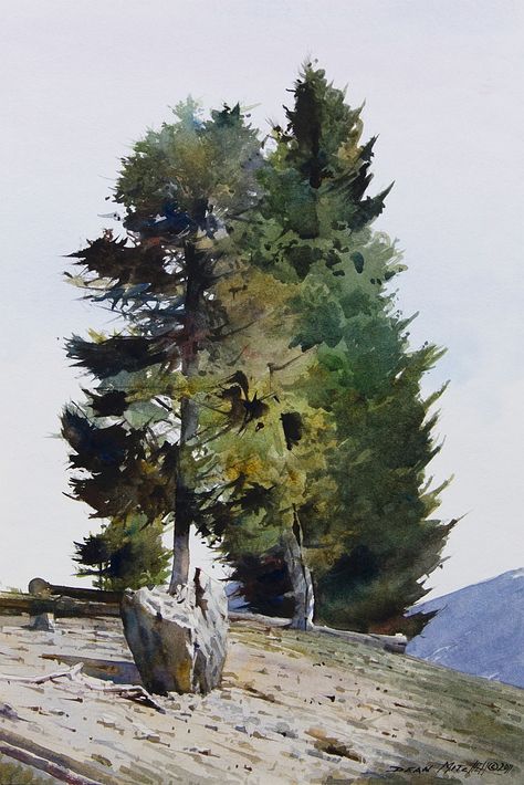 Dean Mitchell, Tree Watercolor Painting, Watercolor Tree, Watercolor Paintings Easy, 수채화 그림, Watercolor Landscape Paintings, Watercolor Artists, Watercolor Trees, Wow Art