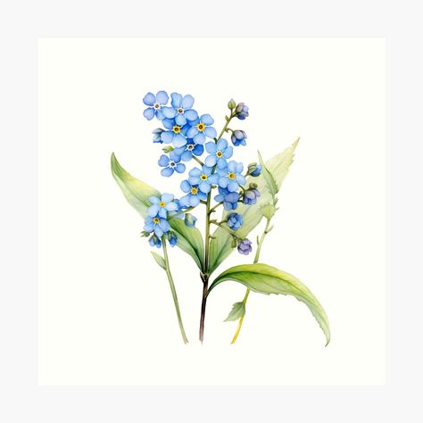 Get my art printed on awesome products. Support me at Redbubble #RBandME: https://www.redbubble.com/i/art-print/Watercolor-forget-me-nots-by-Floreolove/162980907.1G4ZT?asc=u Forget Me Knot Drawing, Forget Me Not Illustration, Forget Me Not Watercolor, Forget Me Nots, Line Art Drawings, Artsy Fartsy, Flower Tattoos, Tattoos And Piercings, Cotton Paper