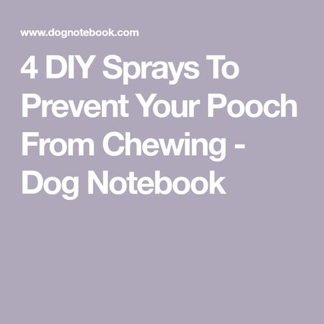 Stop Dog Chewing, Dog Spray, Diy Sprays, Puppy Chewing, Dog Boarding, Dog Sweaters, Diy Homemade, Dog Chews, Diy Cleaning Products