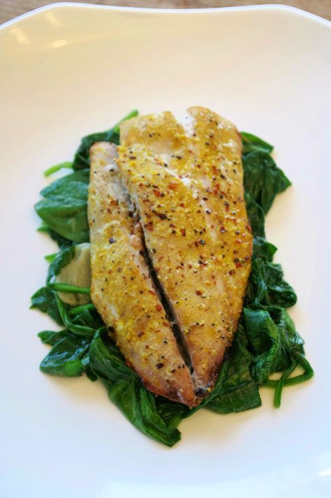 Recipe Contributed by Editor-in-Chief J. Townsend The full name of this fish is Yellowtail Amberjack. They are more commonly known as Yellowtail (not to be confused with Yellowfin, which is Tuna. I… Kingfish Recipes, Grilled Yellowtail, Yellowtail Recipe, Carnivore Meals, Tuna Fish Recipes, Meatless Dinners, Snapper Recipes, Grilled Fish Recipes, Meat Appetizers