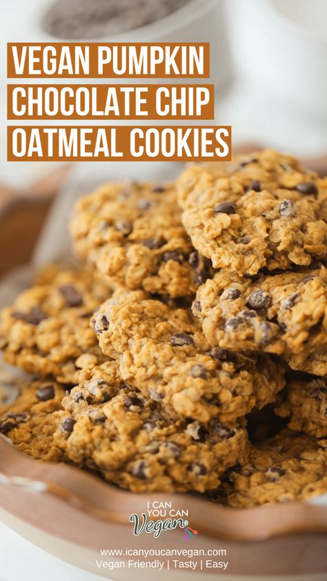 Easy Vegan Pumpkin Chocolate Chip Oatmeal Cookies | I Can You Can Vegan Vegan Pumpkin Oatmeal, Vegan Pumpkin Cookies, Vegan Oatmeal Cookies, Chocolate Chip Oatmeal Cookies, Cookies Video, Pumpkin Oatmeal Cookies, Vegan Oatmeal, Vegan Cookies Recipes, Healthy Vegan Desserts