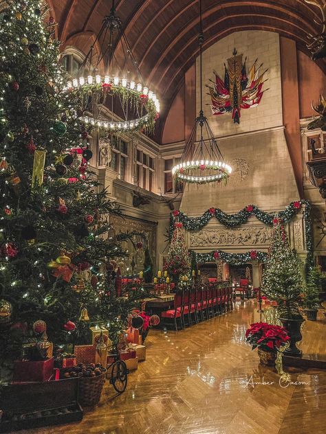 Christmas At The Biltmore Estate, Biltmore Estate Aesthetic, Biltmore Aesthetic, Biltmore Estate Library, Biltmore Estate Christmas, Old Money Christmas, Biltmore Christmas, Hp Christmas, Christmas Lockscreen