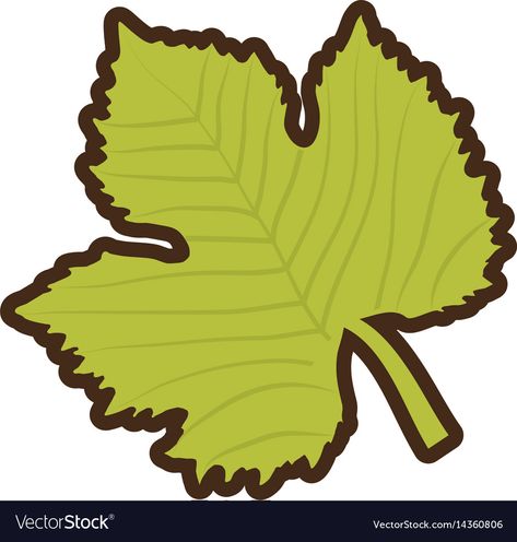 Grape leave natural icon Royalty Free Vector Image Hibiscus Flower Drawing, Cute Easy Doodles, Leaf Template, Grape Leaf, Easy Doodles, Leaf Logo, Hibiscus Flower, Simple Doodles, Hibiscus Flowers