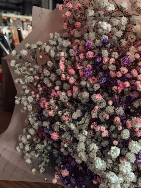 Zhipsophilia Flower, Gypsophila Aesthetic, Aesthetic Flower Pictures, Babies Breath Flowers, Getting Flowers, Type Of Flowers, Flower Aesthetics, Gypsophila Flower, Color Knowledge